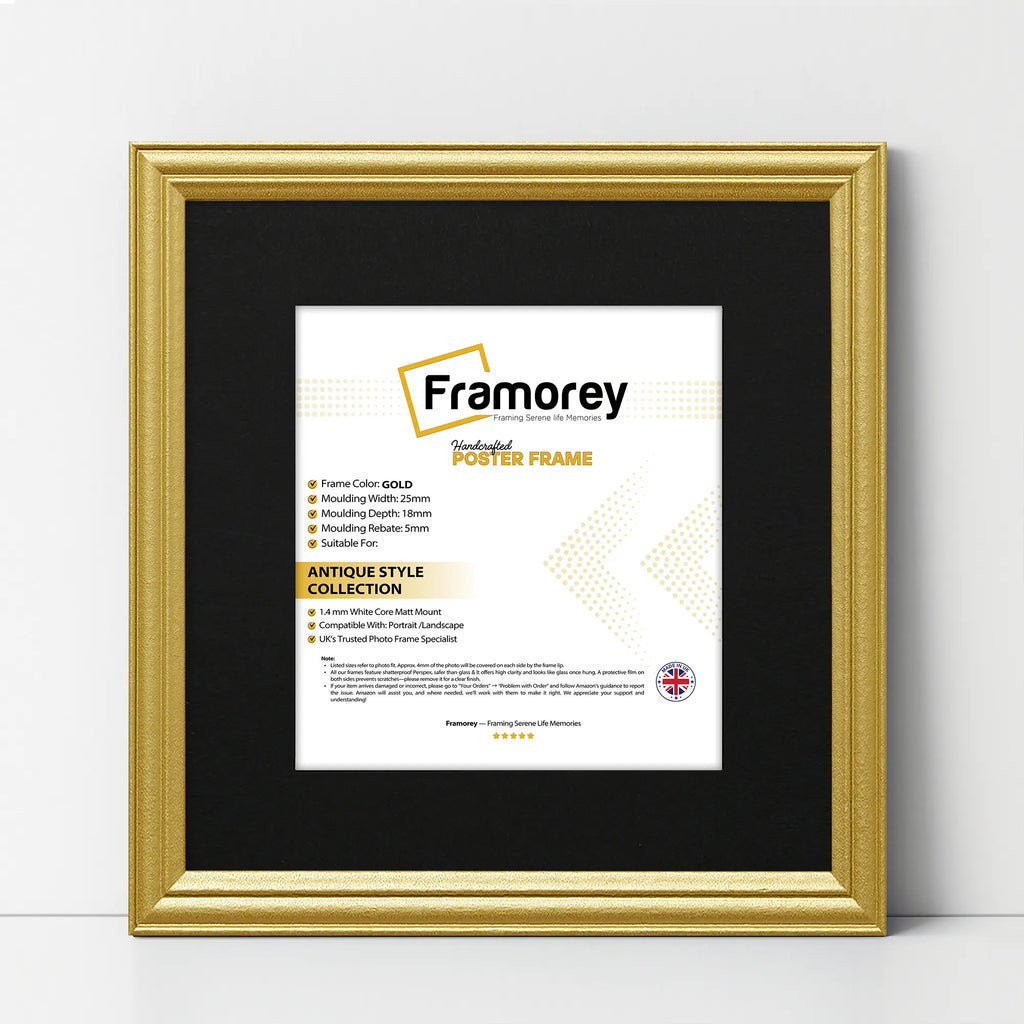Antique Style Square Size Gold Picture Frame with Black Mount