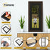 Panorama Style Walnut Oslo Picture Frames With Black Mount