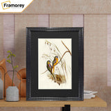 Black Wall Photo Frame poster Frame With Black Mount