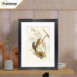 Black Wall Photo Frame poster Frame With White Mount