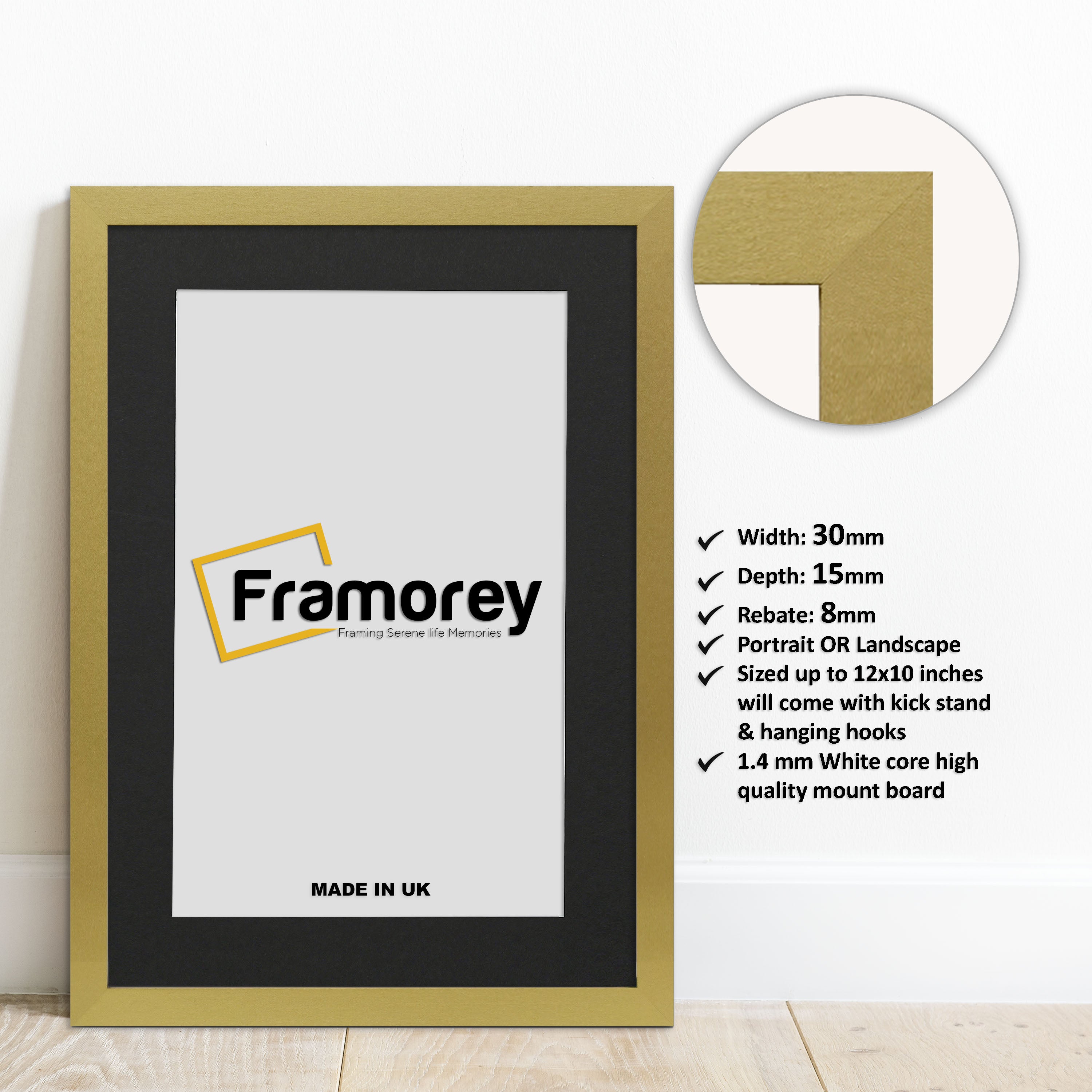 Gold Picture Frame with Black Mount