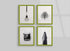 Lime Green picture frames hanged on a wall