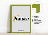 Lime green picture frame with details and a focus corner.