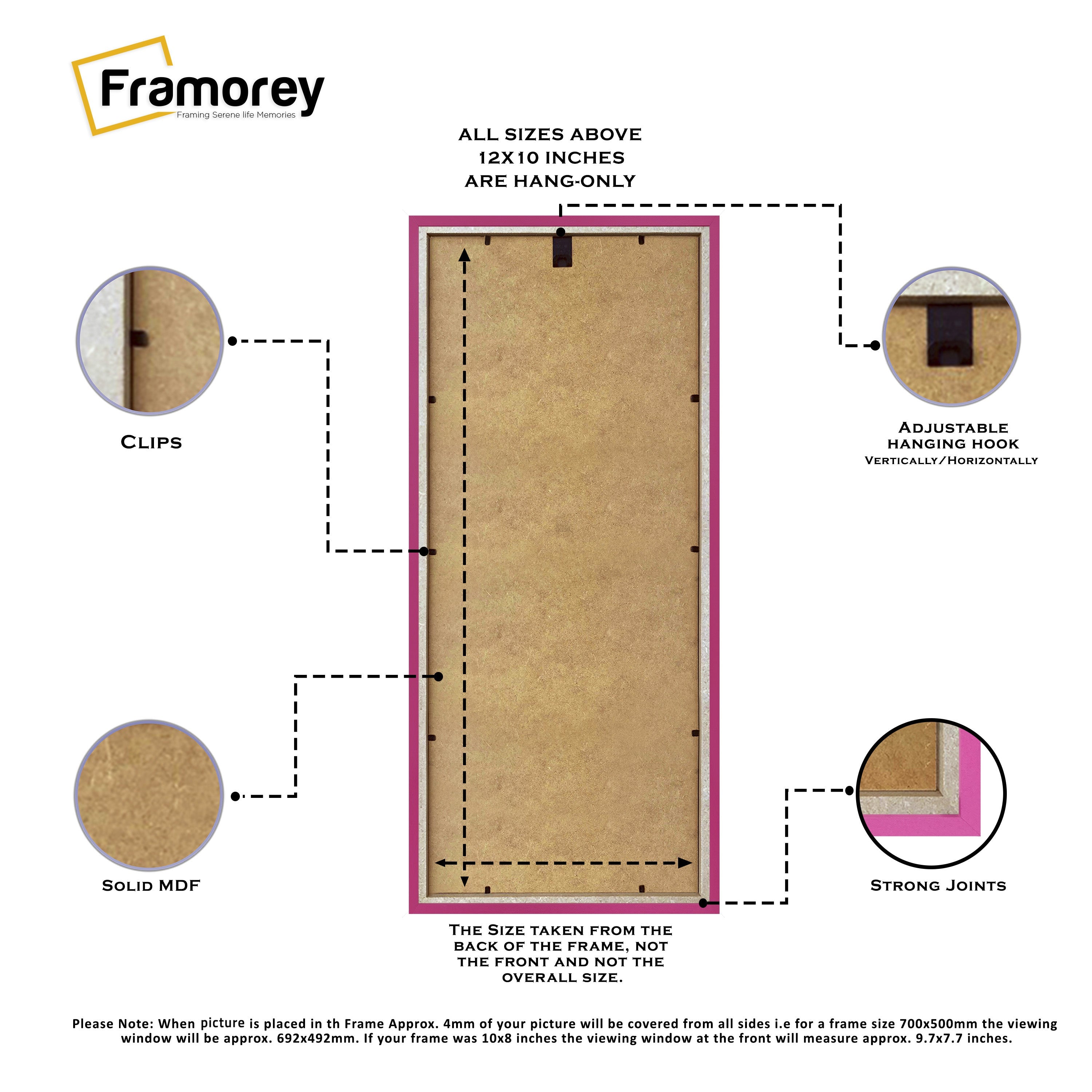 Thin Matt Panoramic Pink Picture Frames With Ivory Mount