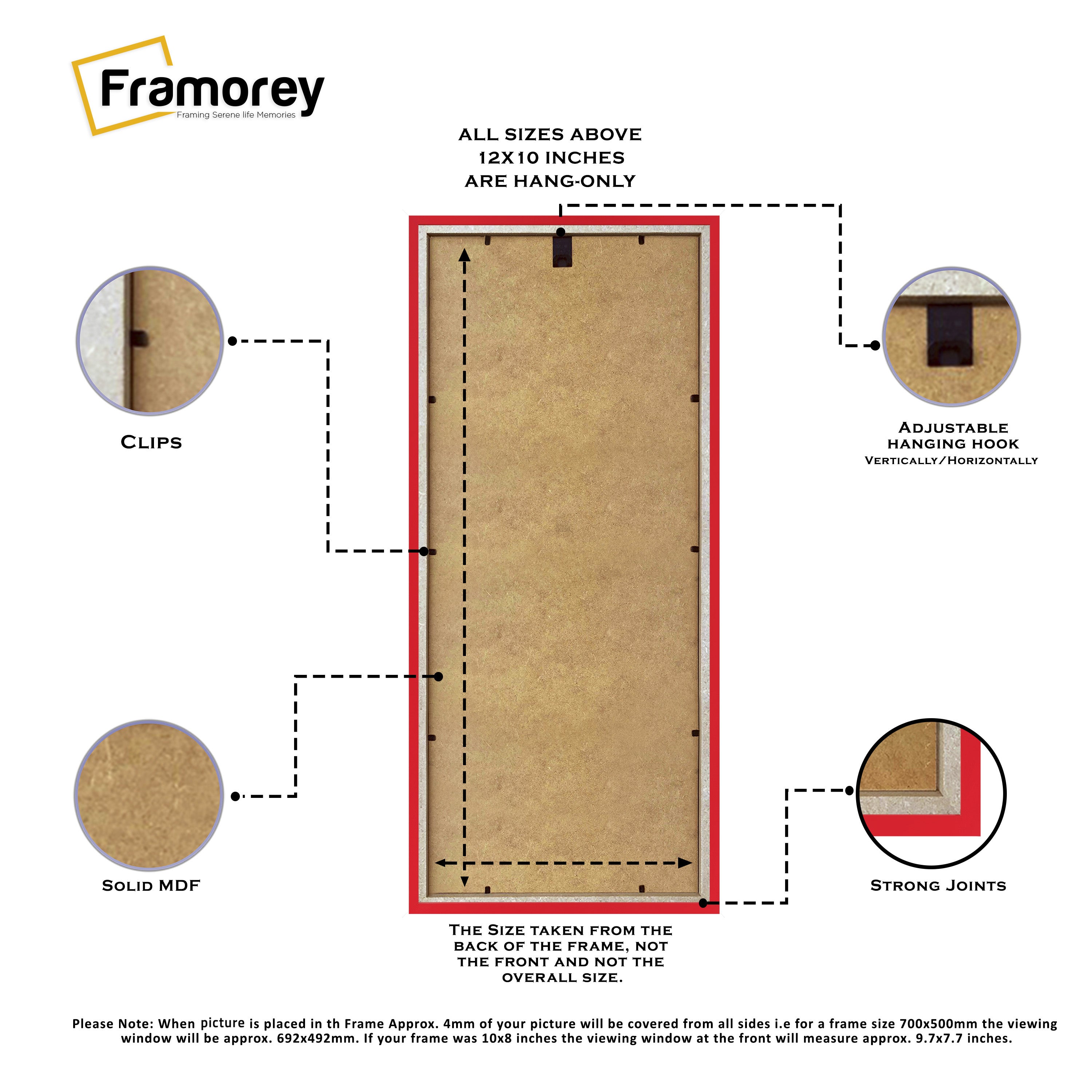 Thin Matt Panoramic Red Picture Frames With Ivory Mount