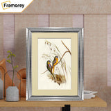 Silver Wall Photo Frame poster Frame With Ivory Mount