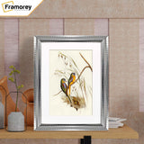 Silver Wall Photo Frame poster Frame With White Mount