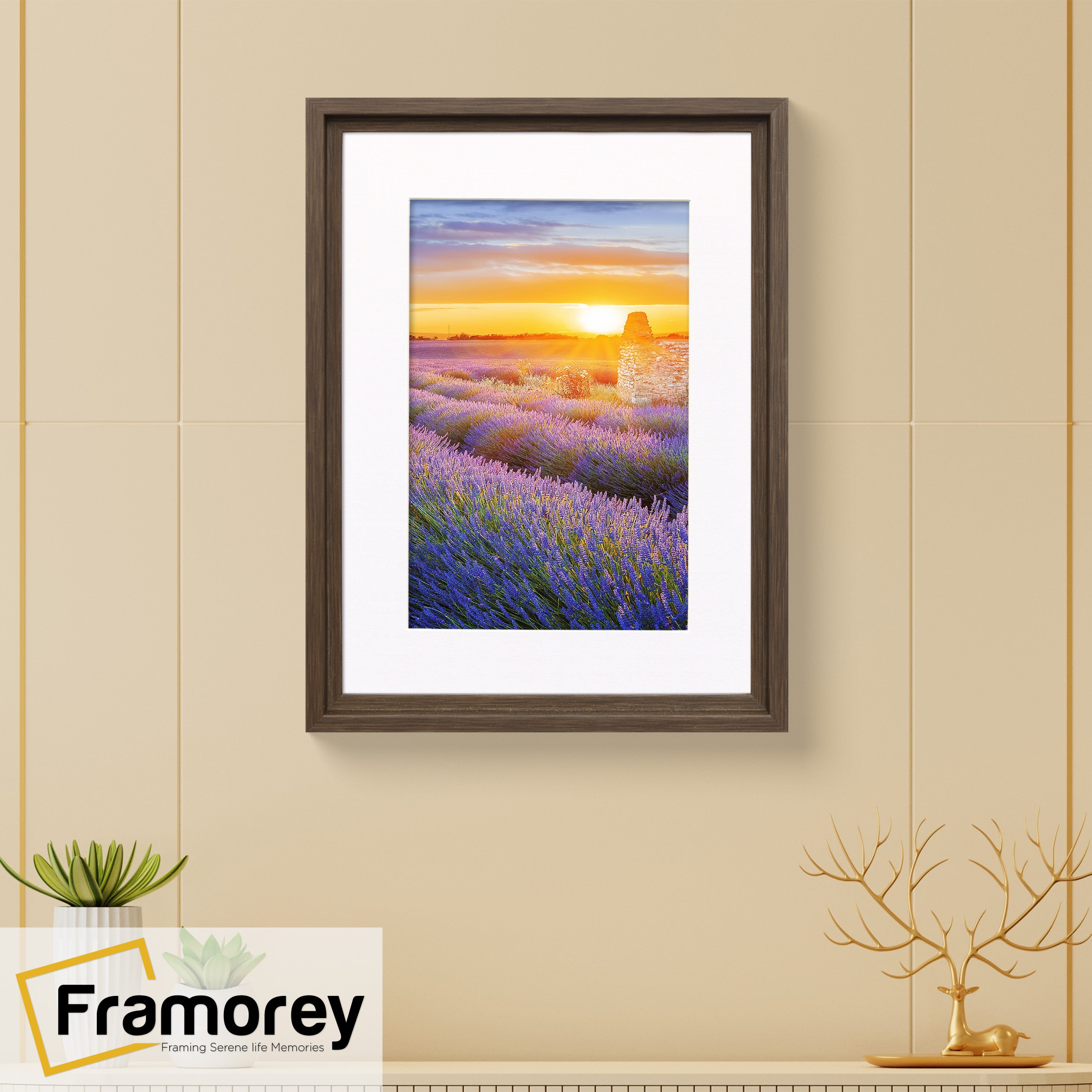 Walnut Picture Frame Oslo Style Photo Frames With White Mount