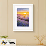 White Picture Frame Oslo Style Photo Frames hanging on a wall.  