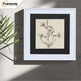 Square Size Grained White Picture Frame Fletcher Wood Style With Black Mount