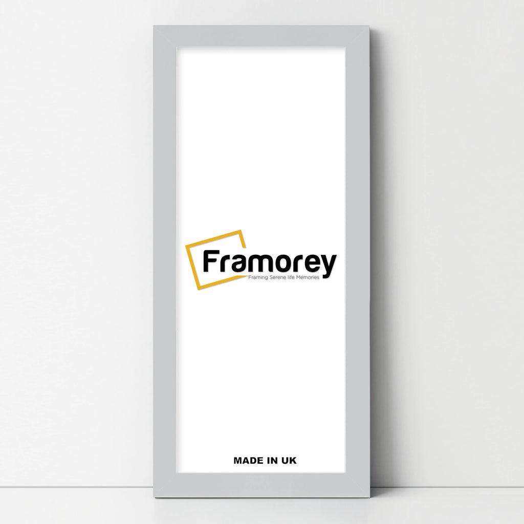 Panoramic Size Silver Picture Frames Wall Decor Frame