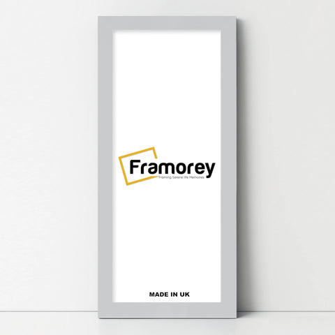 Panoramic Size Silver Picture Frames Wall Decor Frame