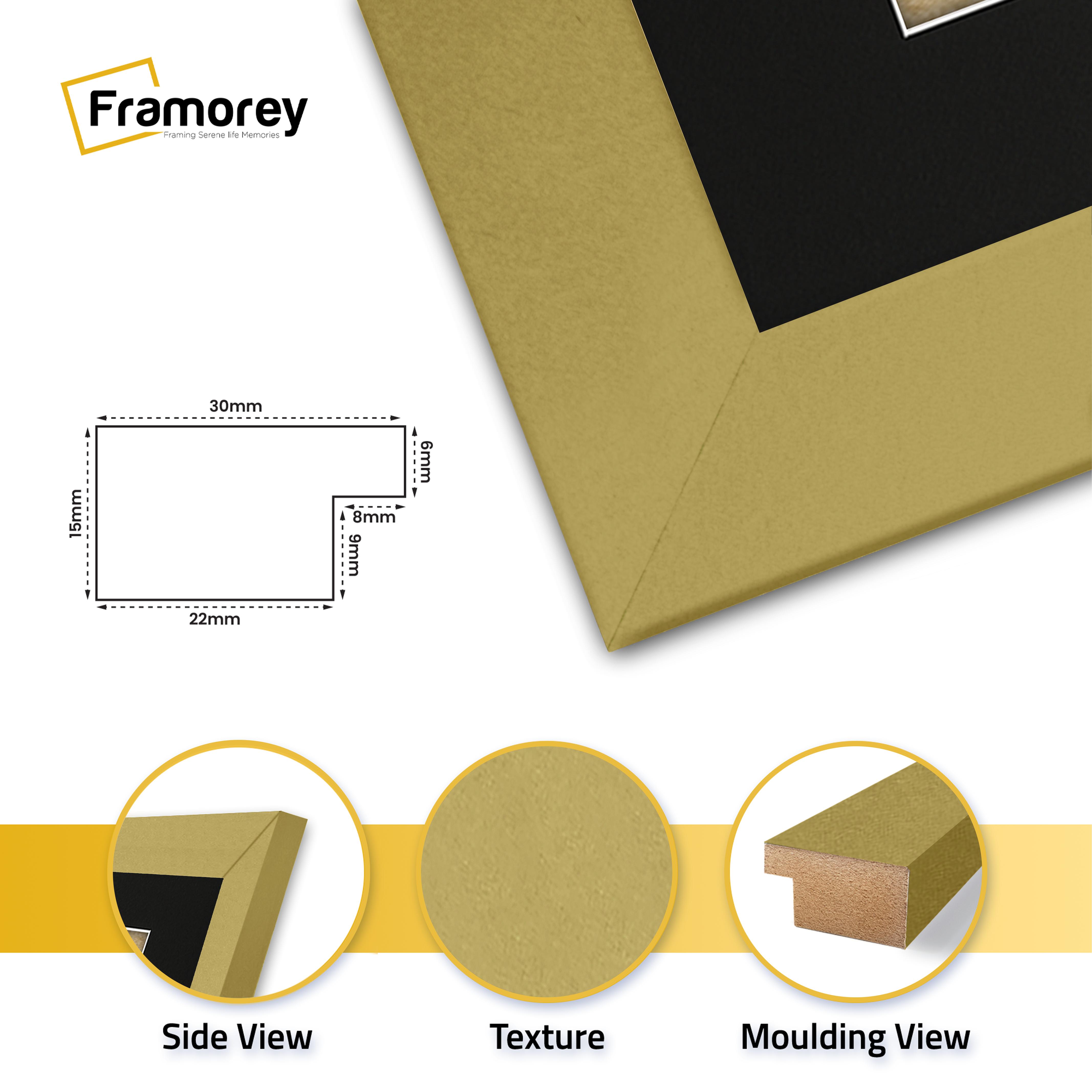 Gold Picture Frame with Black Mount