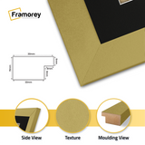 Gold Picture Frame with Black Mount