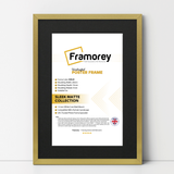 Thin Style Gold Picture Frame With Black Mount