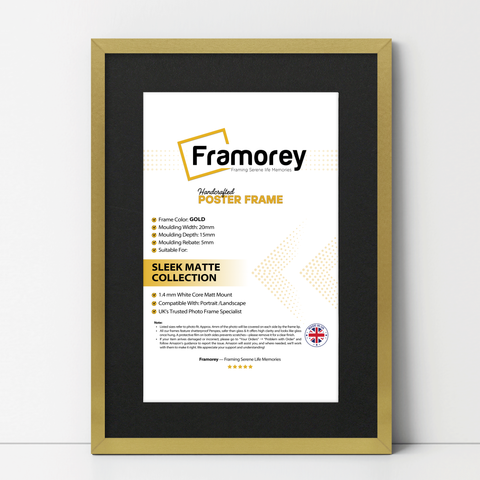 Thin Style Gold Picture Frame With Black Mount