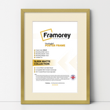 Thin Style Gold Picture Frames with Ivory Mount