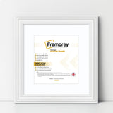 Swept Style Square White Picture Frame With White Mount